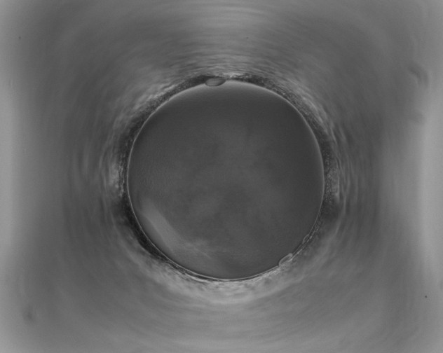 X0000112040031200908101411