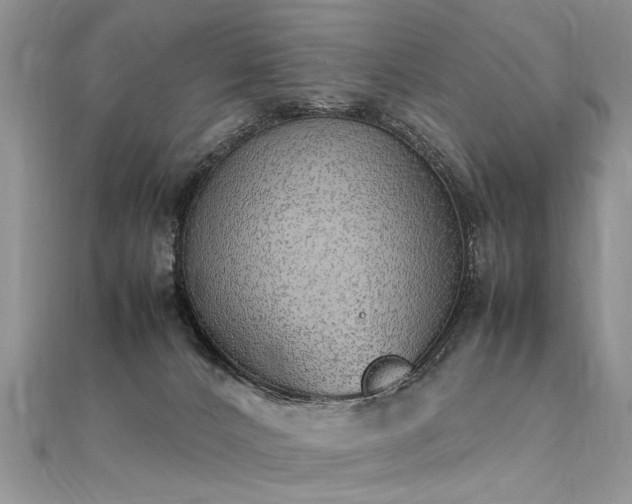 X0000112040032200908101411