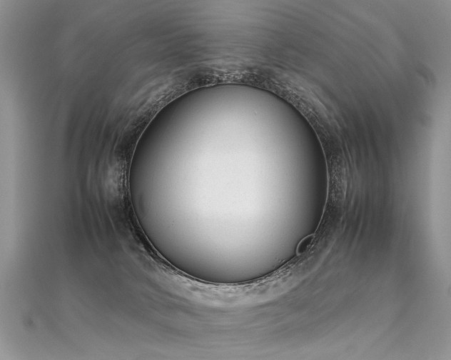 X0000112040034200908101411