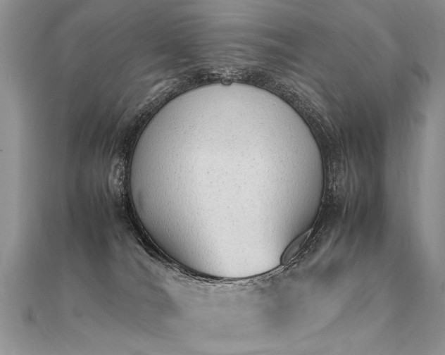 X0000112040036200908101411