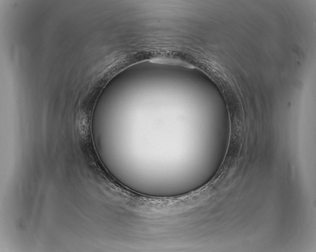 X0000112040037200908101411