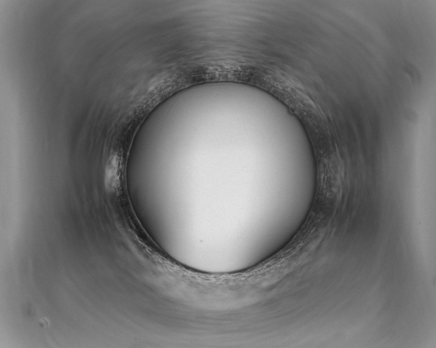X0000112040038200908101411