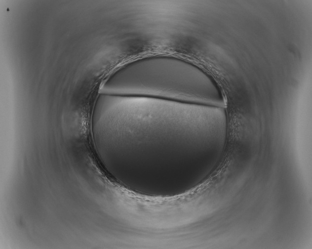 X0000112040039200908101411