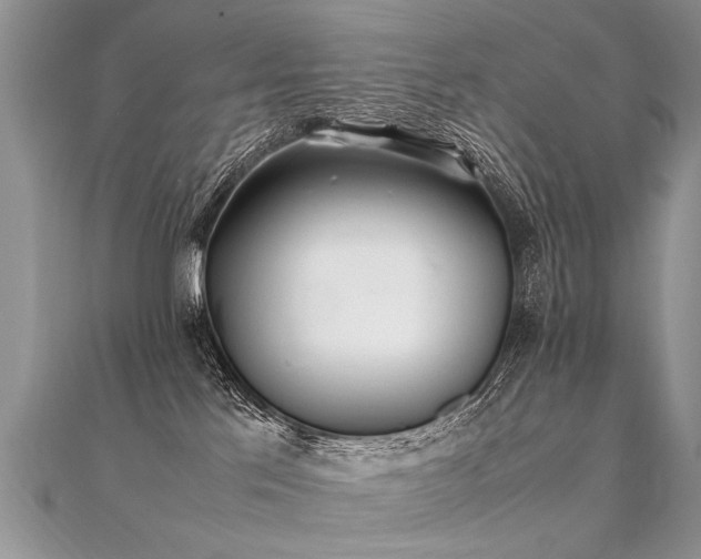 X0000112040041200908101411
