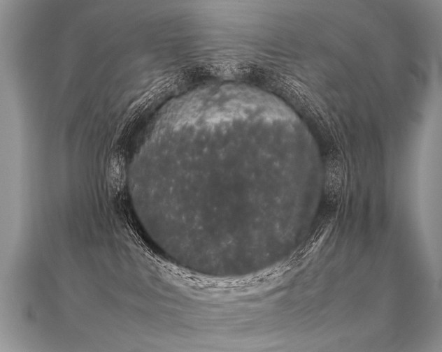 X0000112040043200908101411