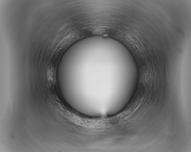 X0000112040044200908101411