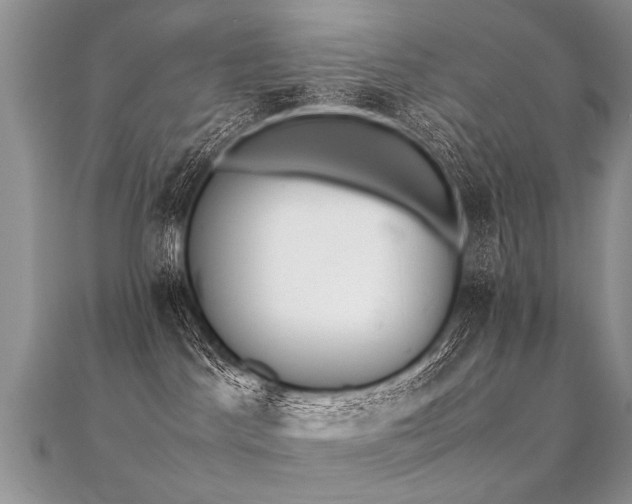 X0000112040045200908101411