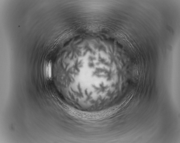 X0000112040046200908101411