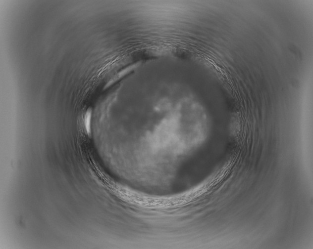 X0000112040047200908101411