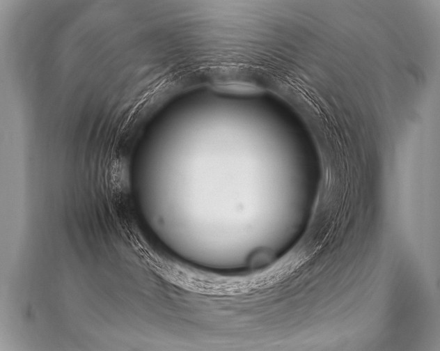 X0000112040048200908101411