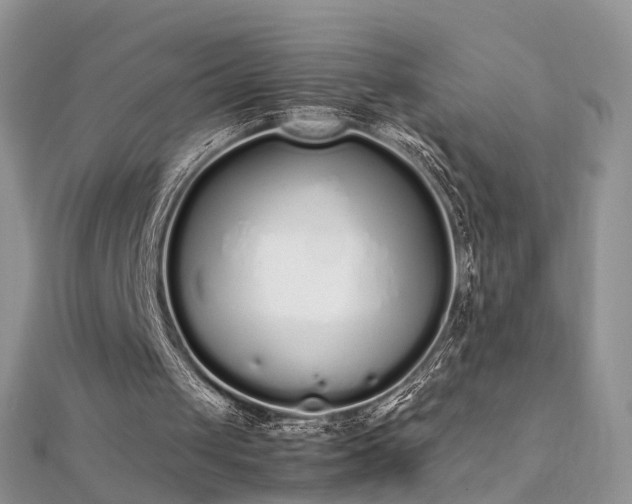 X0000112040049200908101410