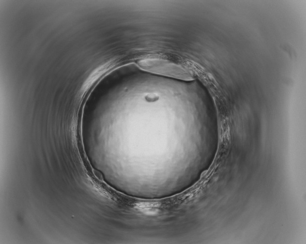 X0000112040051200908101410