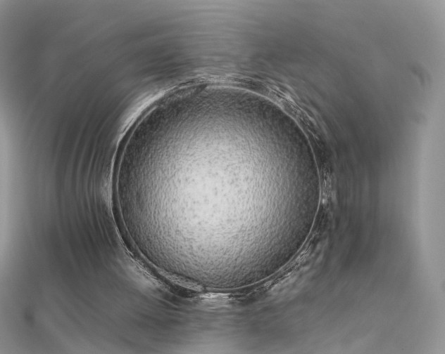 X0000112040052200908101410
