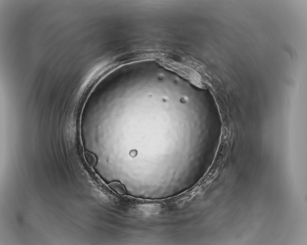 X0000112040053200908101410