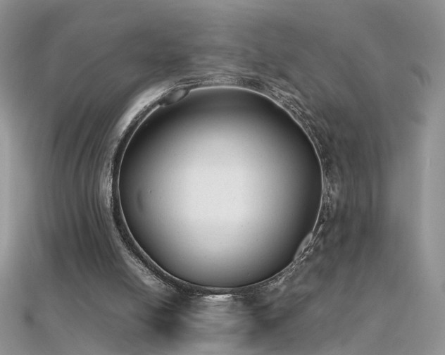 X0000112040054200908101410