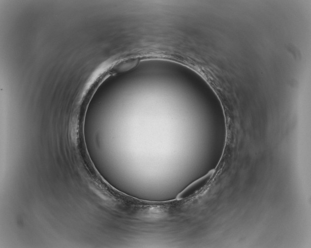 X0000112040056200908101410