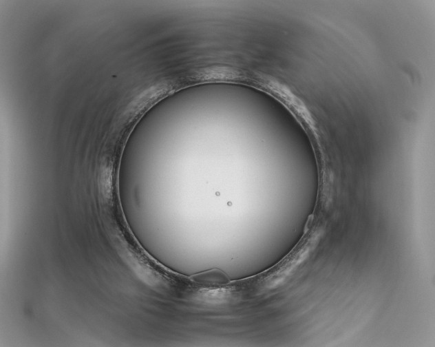 X0000112040057200908101410