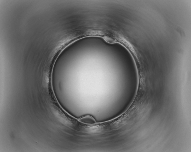 X0000112040059200908101410