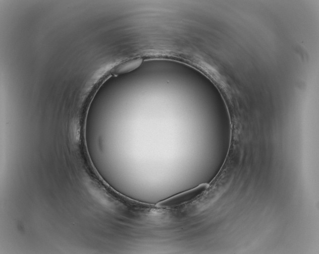 X0000112040060200908101410