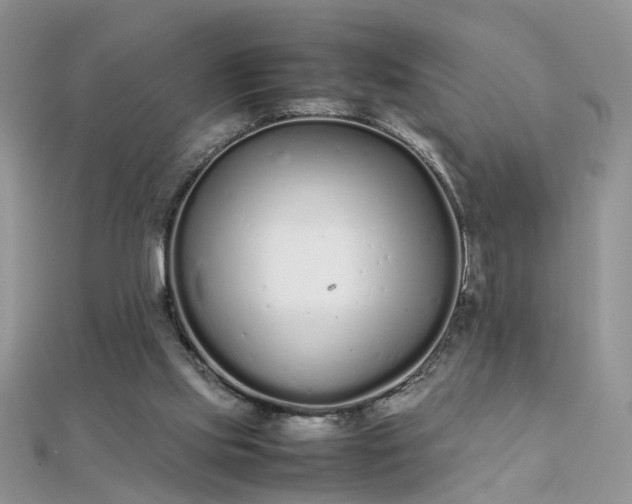X0000112040061200908101410