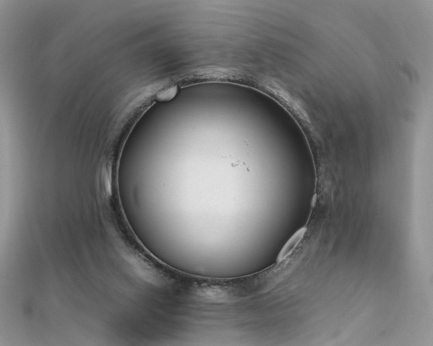 X0000112040062200908101410