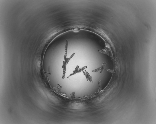 X0000112040063200908101410