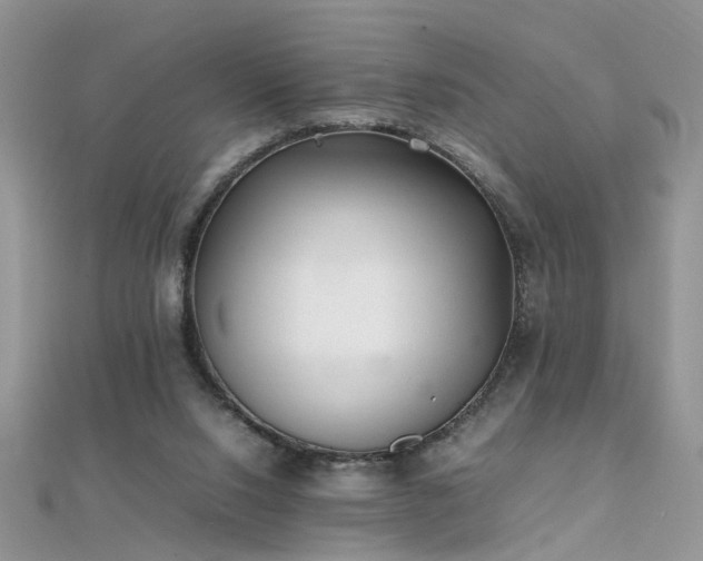 X0000112040064200908101410
