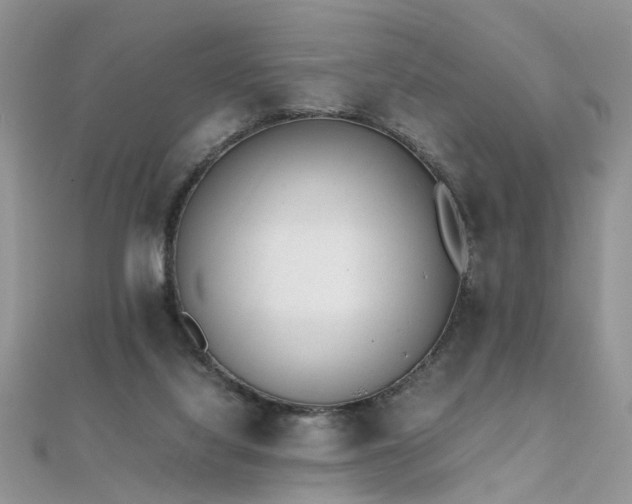 X0000112040068200908101410