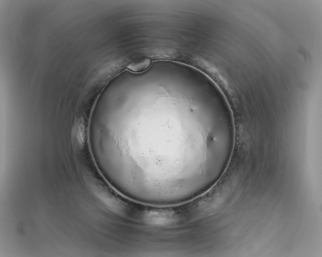 X0000112040069200908101410