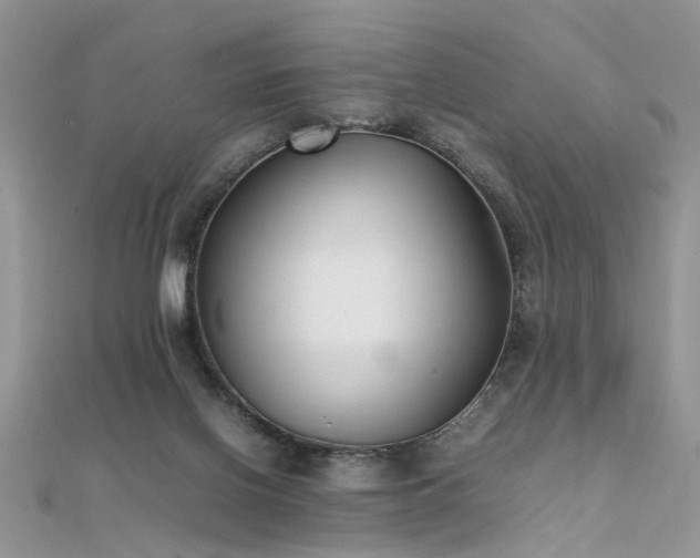 X0000112040070200908101410
