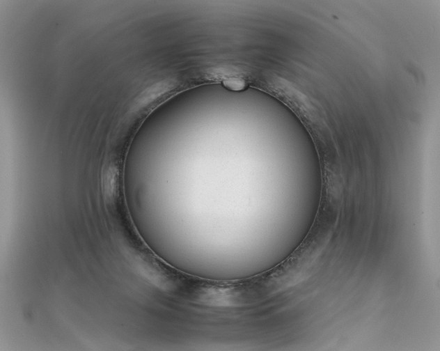 X0000112040071200908101410