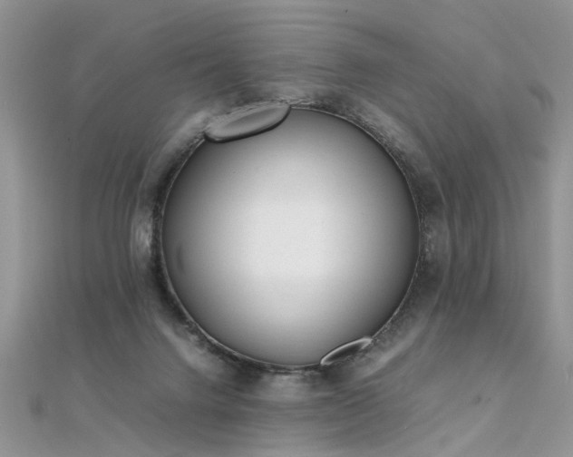 X0000112040072200908101410
