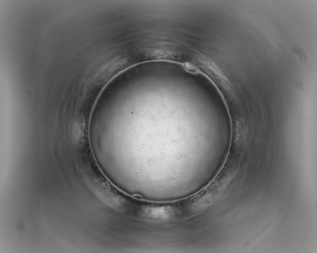 X0000112040073200908101410