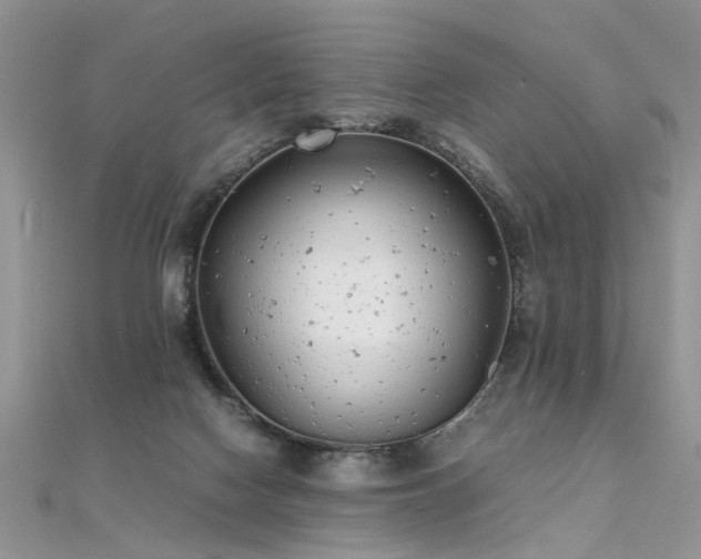 X0000112040074200908101410