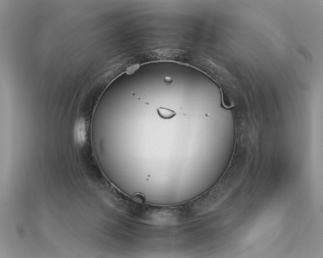 X0000112040075200908101410