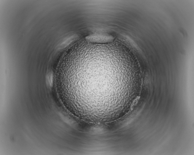 X0000112040076200908101410
