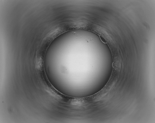 X0000112040077200908101410