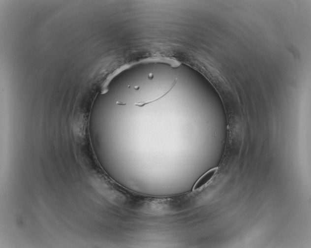 X0000112040078200908101410