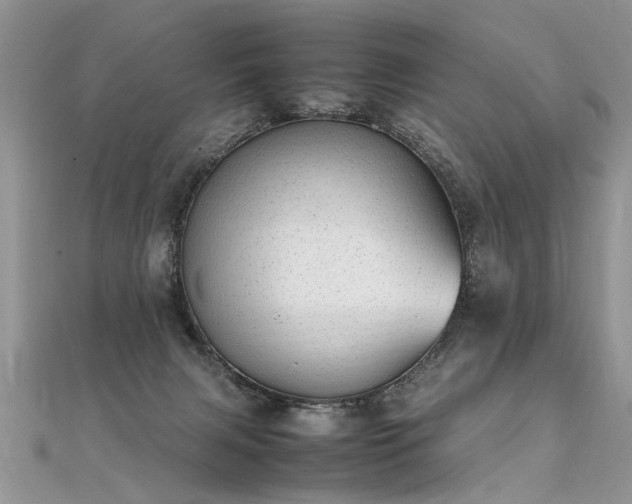 X0000112040079200908101410