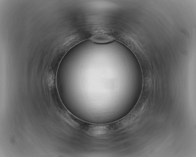 X0000112040081200908101410