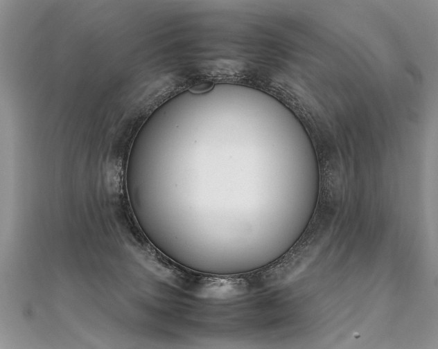 X0000112040083200908101411
