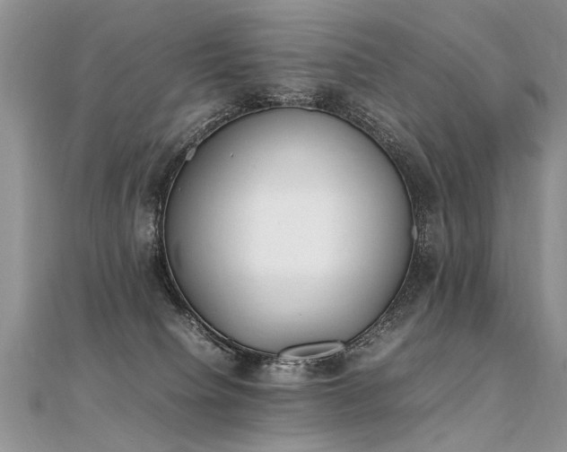 X0000112040084200908101411