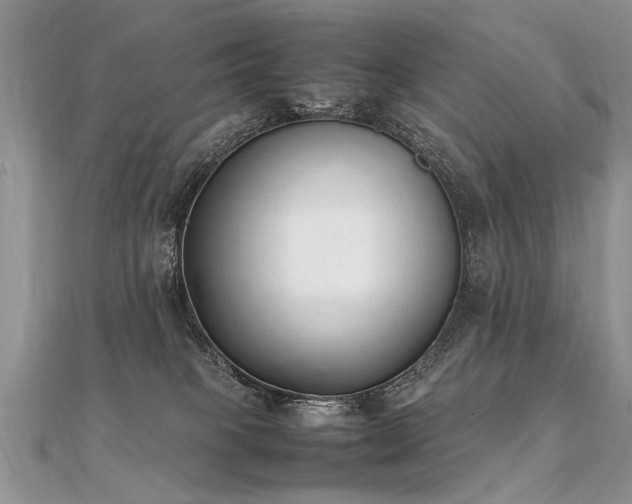 X0000112040085200908101411