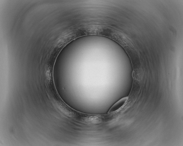 X0000112040086200908101411