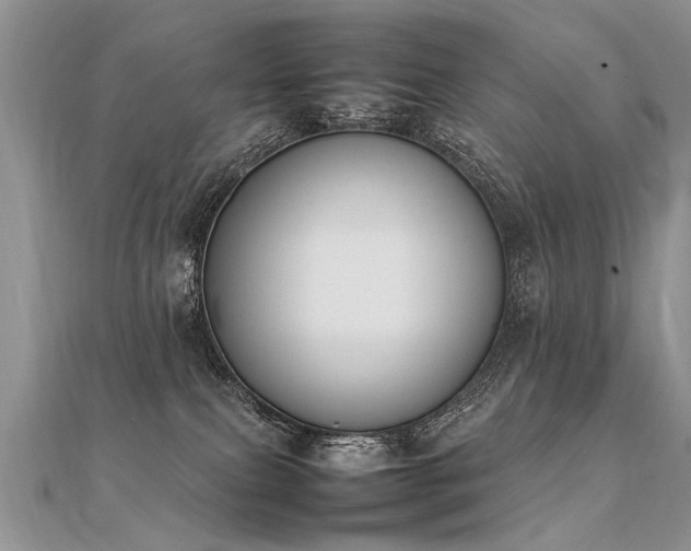 X0000112040087200908101411