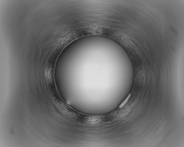 X0000112040088200908101411