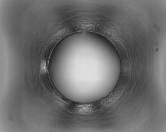 X0000112040089200908101411