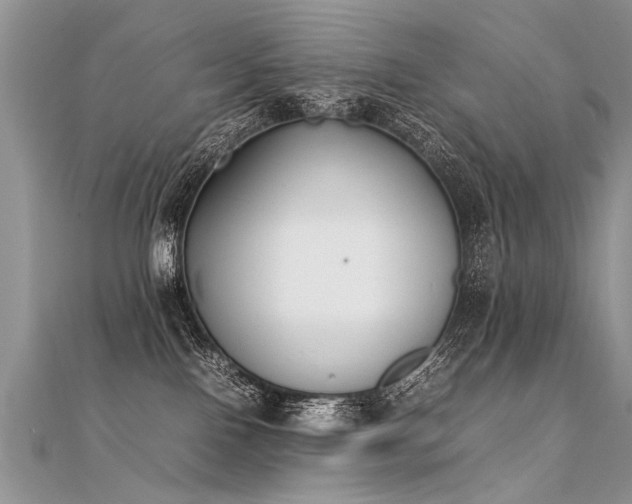 X0000112040090200908101411