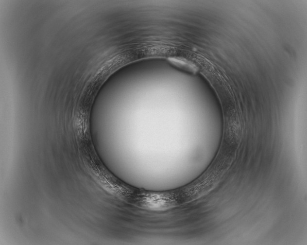 X0000112040091200908101411