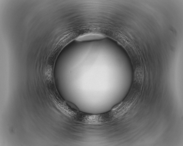 X0000112040092200908101411